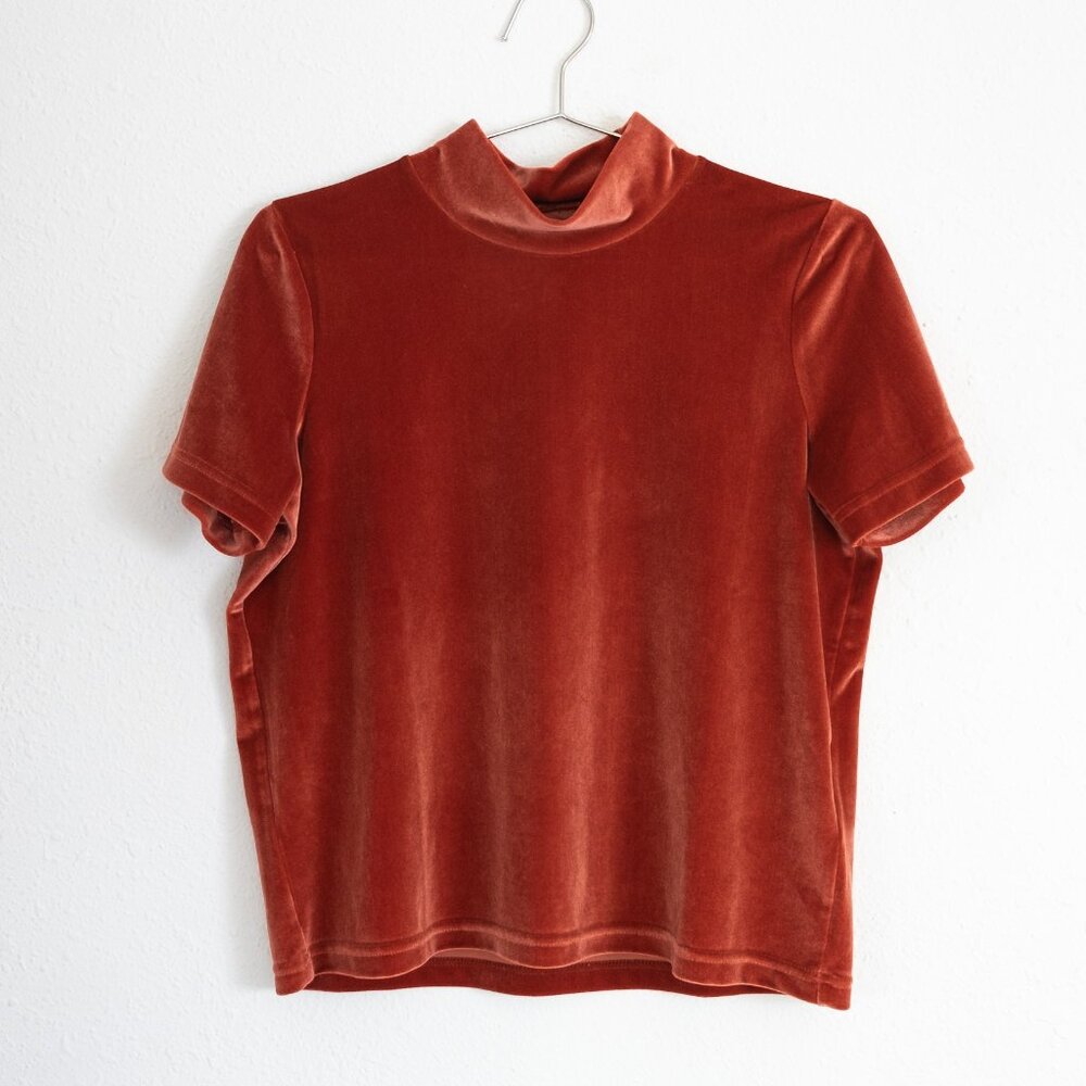 Madewell Rust Velvet Short Sleeve Tee
